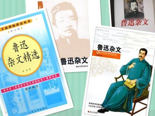 鲁迅杂文（2010年江苏文艺出版社出版的图书）