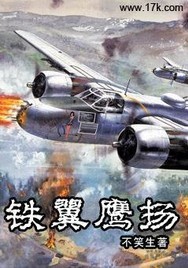 铁翼鹰扬（不笑生创作网络军事小说）