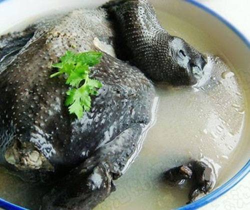 乌鸡汤