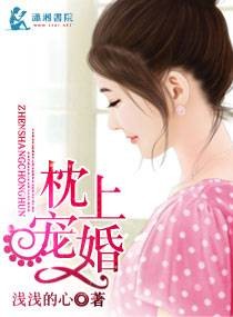 枕上宠婚（浅浅的心创作的小说）