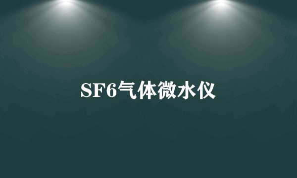 SF6气体微水仪