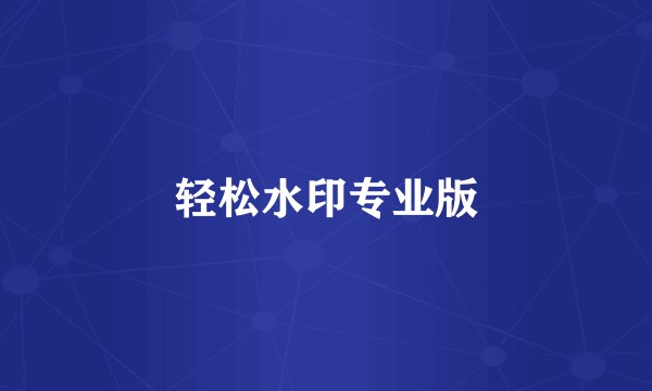 轻松水印专业版
