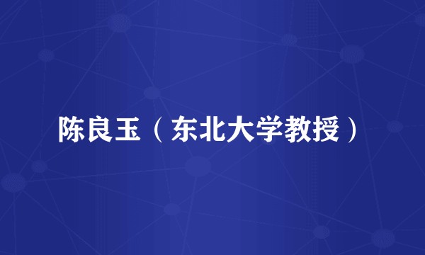 陈良玉（东北大学教授）