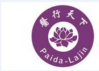 医行天下（2009年广东人民出版社出版的图书）