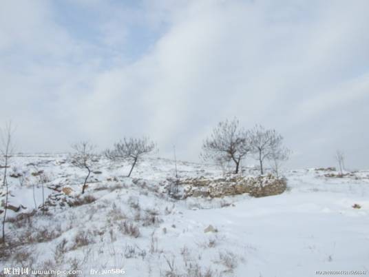 晴雪（词语）