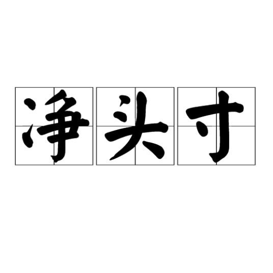 净头寸