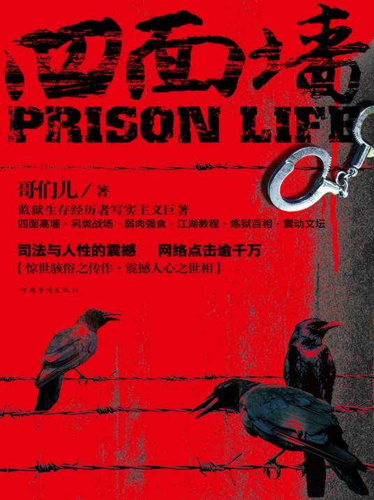 四面墙（2011年文化艺术出版社出版的图书）