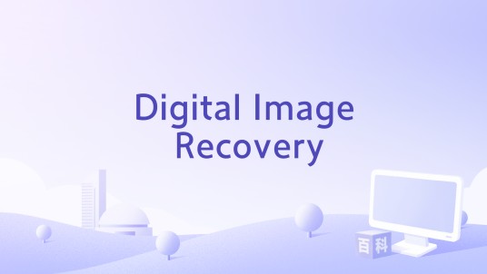 Digital Image Recovery