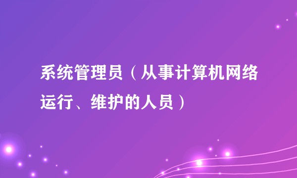 系统管理员（从事计算机网络运行、维护的人员）