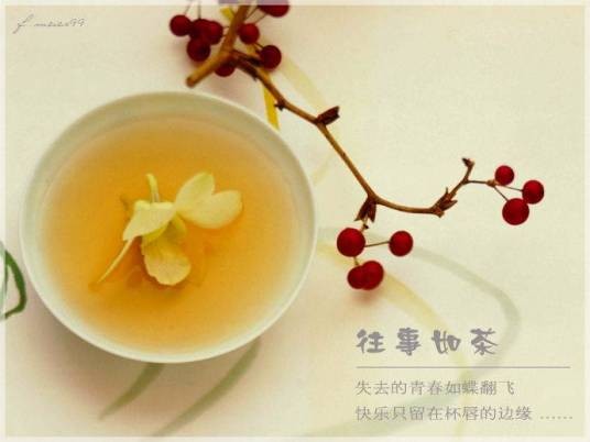 养胃茶