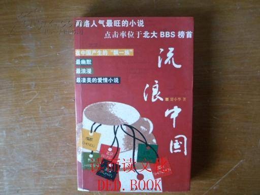 流浪中国