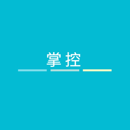 掌控（汉语词语）