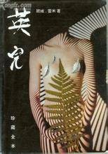 英儿（1994年北京华艺出版社出版的图书）