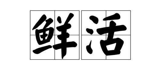 鲜活（词语）