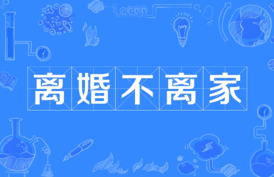 离婚不离家(2013年出品的当代都市电视剧)