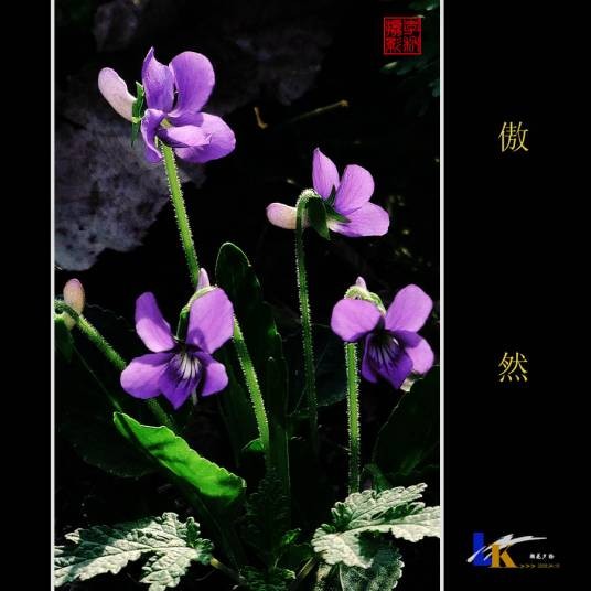 傲然（形容坚强不屈的样子）