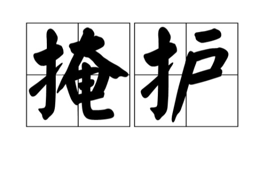 掩护（汉语词语）