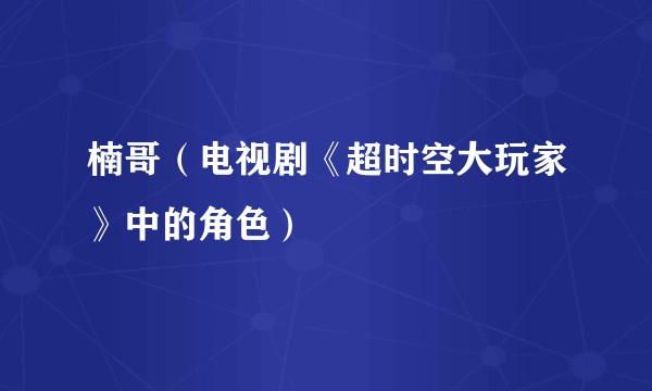 楠哥（电视剧《超时空大玩家》中的角色）