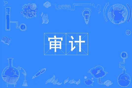 大数据与审计（中国普通高等学校专科专业）