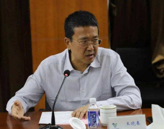 王晓春（同济堂创始人兼董事长）