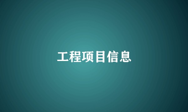 工程项目信息