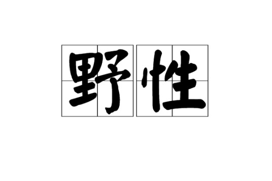 野性（汉语词语，指粗野的性情）