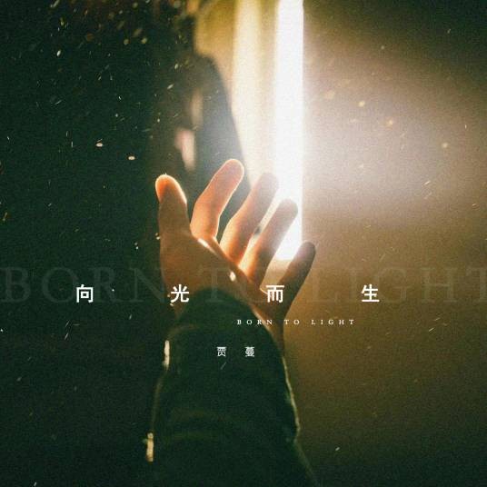 向光而生（贾蔓演唱的励志歌曲）