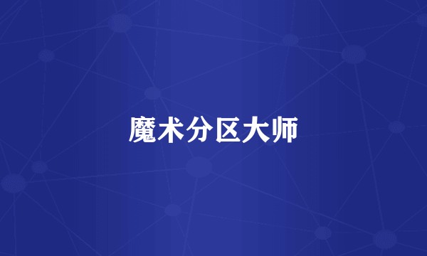 魔术分区大师