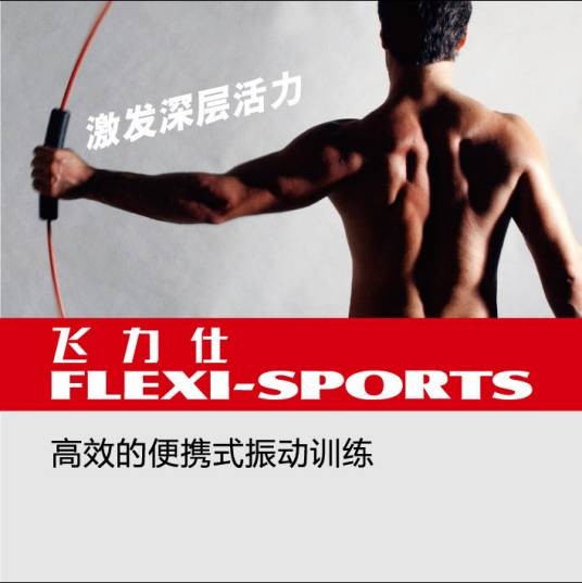 飞力仕