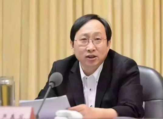 严书记（2018年度十大反腐热词）