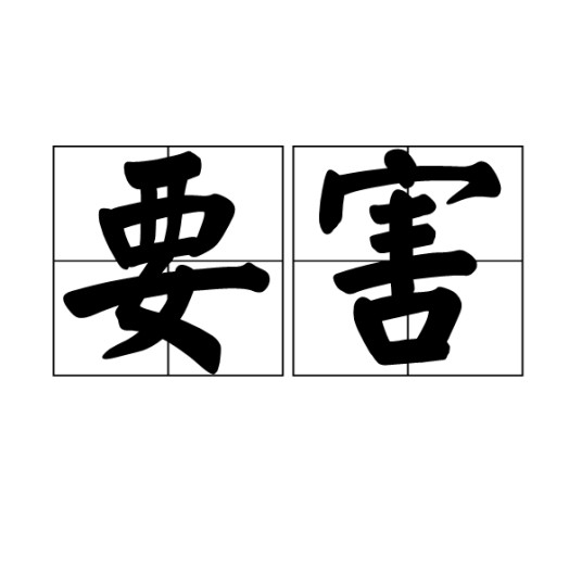 要害（汉语词语）