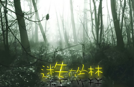 迷失丛林（2006年柳云龙执导的电视剧）