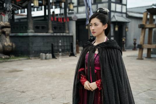 楼舒婉（电视剧《赘婿》及其原著小说角色）