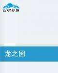 龙之国（爱你的人创作的网络小说）