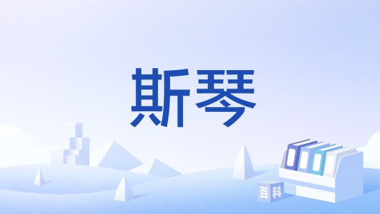 斯琴（蒙古语中表示“聪明”“聪慧”的词汇）
