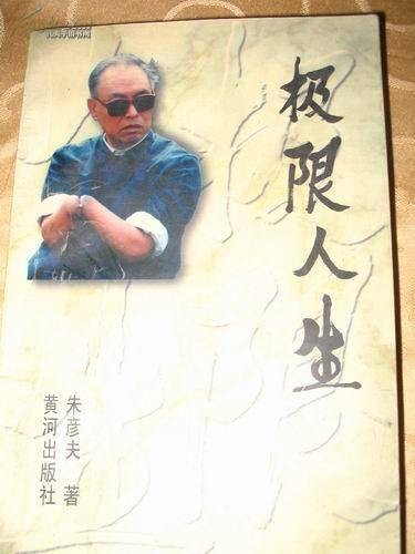 极限人生（朱彦夫创作的自传体长篇小说）
