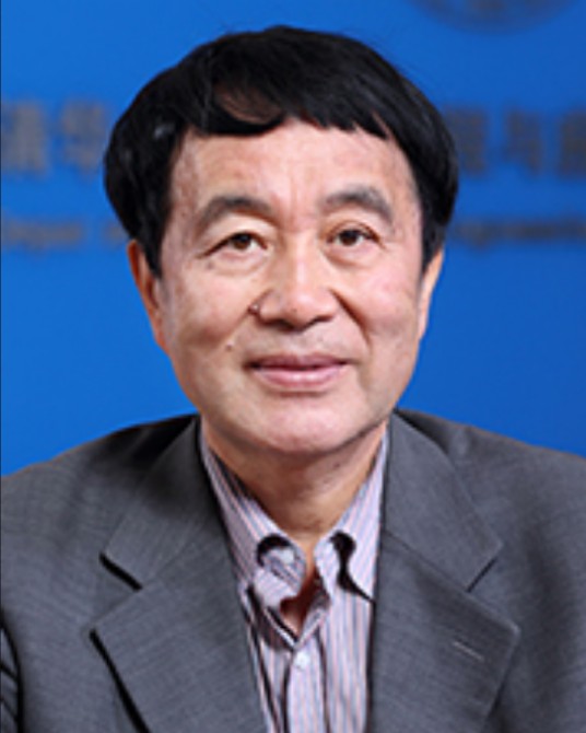 赵伟（清华大学电机系教授、博士生导师）