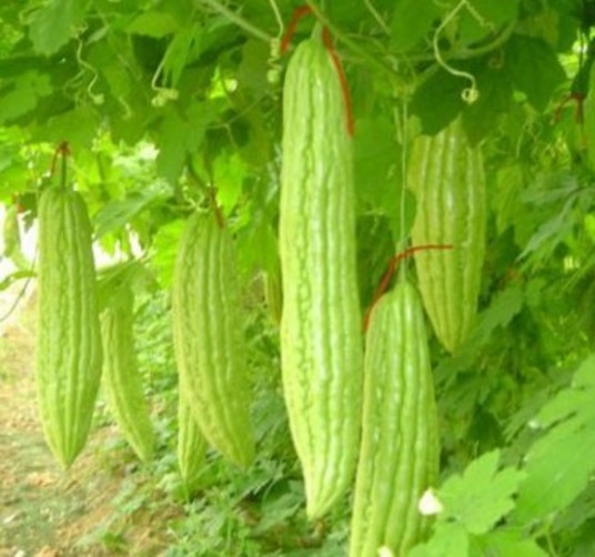 降火