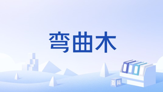 弯曲木