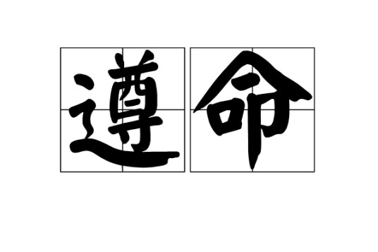 遵命（汉语词语）