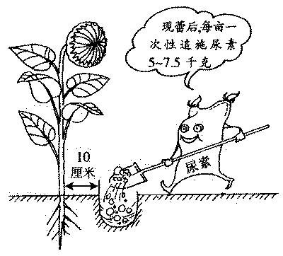 产量