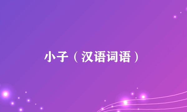 小子（汉语词语）