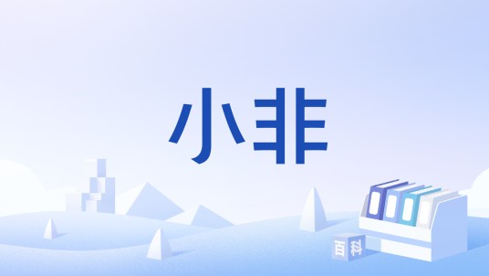 小非（股市用语）