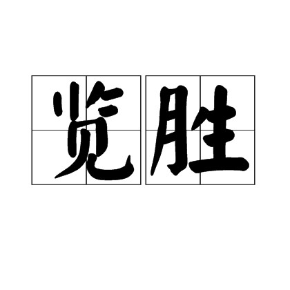 览胜