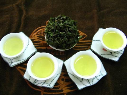 安溪茶叶（山茶科山茶属植物）