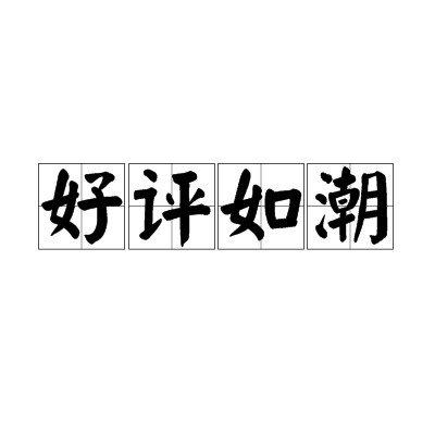 好评如潮（汉语成语）