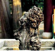 楷模（汉语词语）