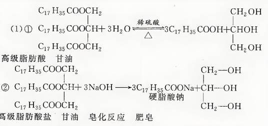油脂水解