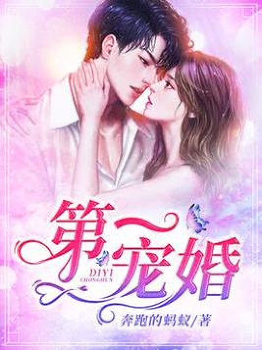 第一宠婚（奔跑的蚂蚁所著小说）