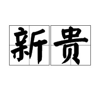 新贵（汉语词语，指新近作高官的人或新兴显贵群体）